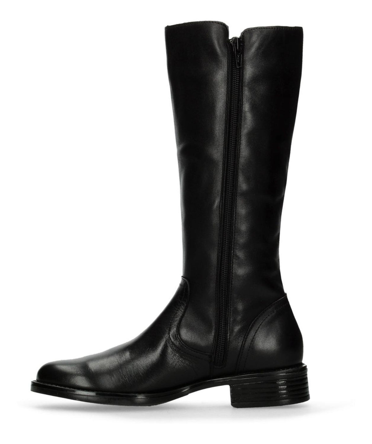 Bota Gino Cherruti Para Mujer 5308 Negro [gch317], foto 3 de 10