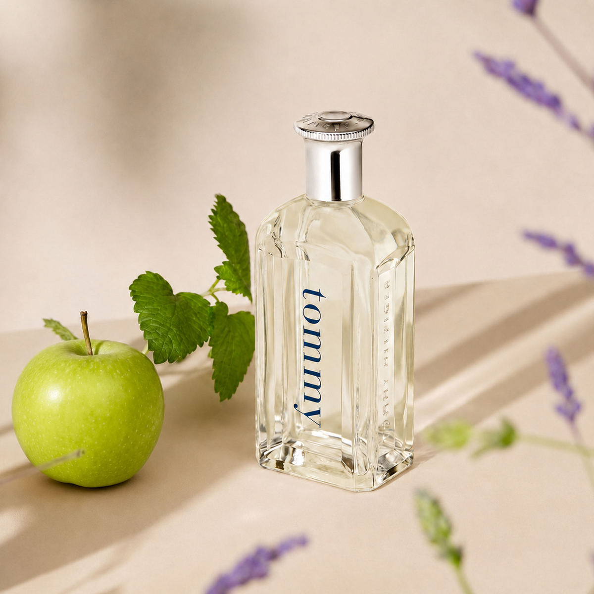 Perfume Tommy Hilfiger Tommy EDT Hombre 100ml, foto 10 de 10