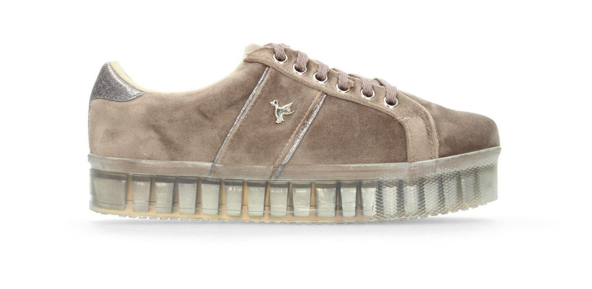 Tenis Clap Duck Para Mujer 297009 Cafe [cdu17], foto 2 de 10